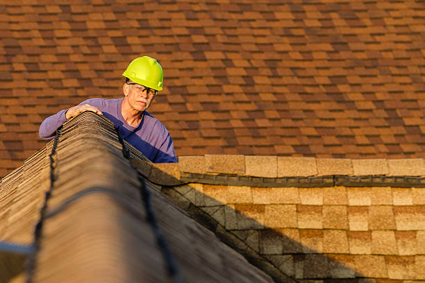 Best Commercial Roofing Services  in Hill N Dale, FL