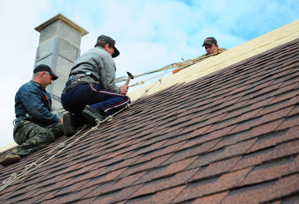 Best Storm Damage Roof Repair  in Hill N Dale, FL